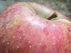 -新丰石磨坊豊记石磨肠粉(杏花苑店)