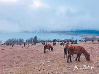 看到很多户外团去冶勒湖，集结家人一起去，快到的路上很