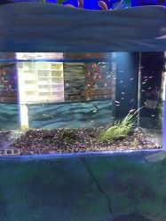 -酷嗒动物文化乐园(cutezoo西溪乐天城店)