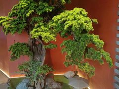 -阿伟海鲜楼·福建菜(延寿店)