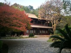 -团城山公园