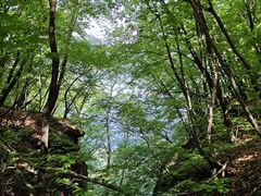 -五女山景区