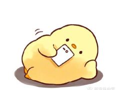 -白箱照相馆·外拍