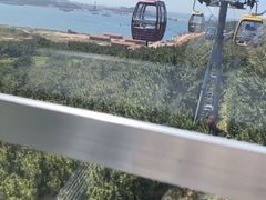 -摩天岭风景区