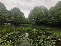 -尚贤河湿地