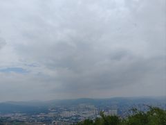 -长虫山生态公园风景林