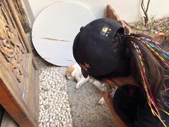 -喵屿·大理花园猫咖