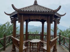 -大岭沟猕猴桃谷风景区