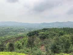 -湖州太湖旅游度假区-月亮广场