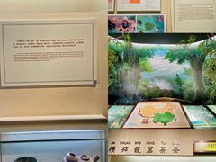 -中国茶叶博物馆(双峰馆区)
