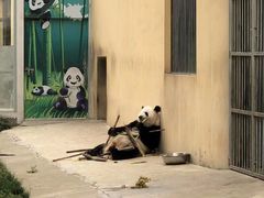 -西安秦岭野生动物园