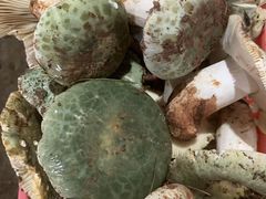 -野菌园·野生菌火锅首创第一家(关兴路总店)