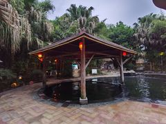 -雅安楠水阁温泉酒店