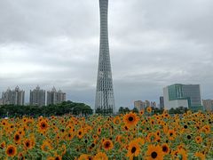 -海心沙亚运公园