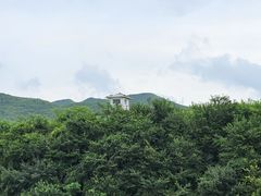 -河口景区