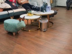 点击看大图 -尚丹尼造型