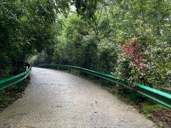 -南京老山国家森林公园