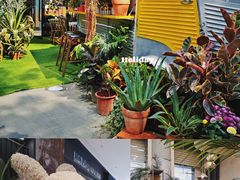 -PlantsEatery·植物食堂(REX春熙店)