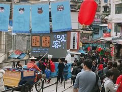 -猫咪博物馆(顶澳仔猫街店)