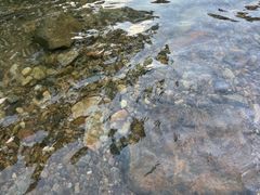 -北仑森林植物园