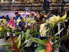 -天河体育中心