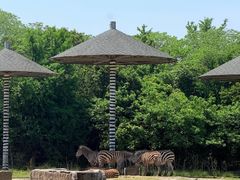 -宁波野生动物园