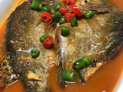 -丁老爷子苏香圆