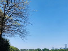 -东莞植物园