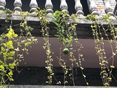 -金谷里艺术馆