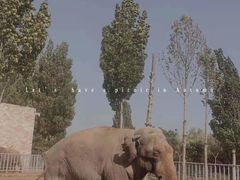 -石家庄市动物园