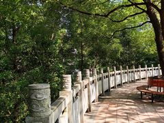 -龙头寺公园