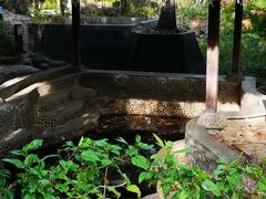 -三亚珠江南田温泉度假区