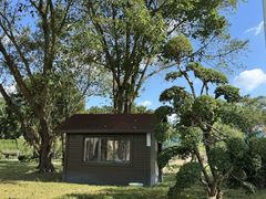 -东南花都花博园