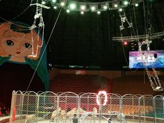 -俄罗斯国家大马戏团