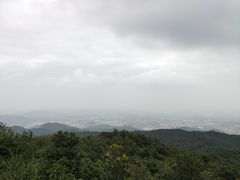 -东莞市大岭山森林公园