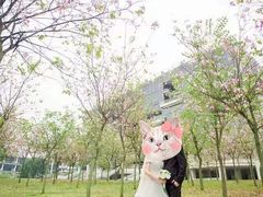 -广东工业大学(大学城校区)