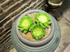 -大良毋米粥 · 粥底火锅(岭南天地店)