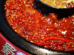 -蜀辣居鲜货老火锅(红牌楼店)
