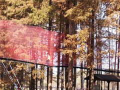 -黄海国家森林公园