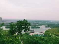 -华西村