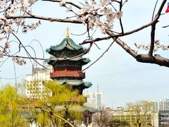 -迎泽公园