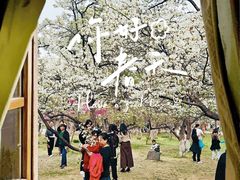 -石家庄市植物园
