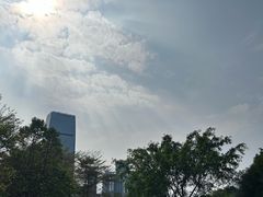 -云溪植物园