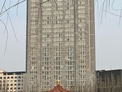 -青城公园