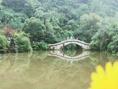 -黔灵山公园