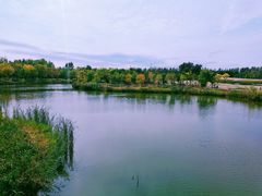 -东郊湿地公园