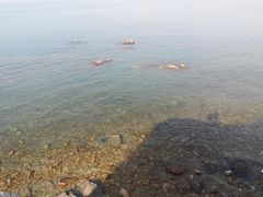 -天马广场