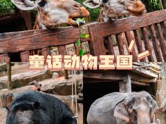 -长鹿旅游休博园