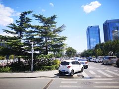 -清华大学-停车场
