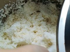 米饭-广东涂记烧鹅饭(武汉天地店)